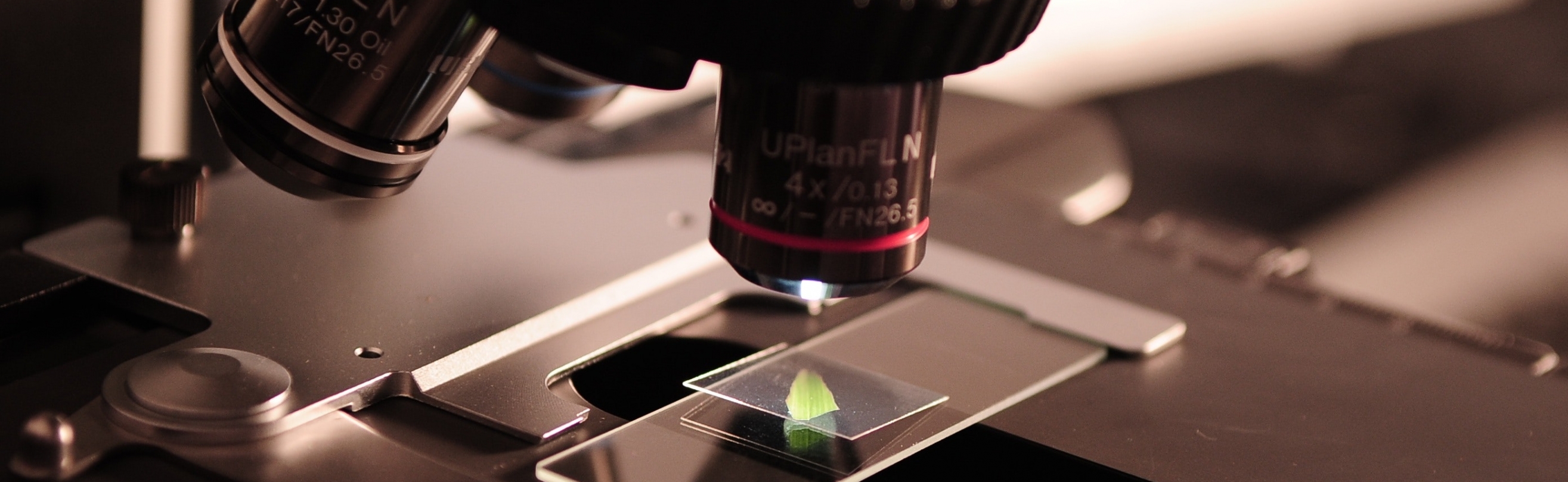 A microscope scans a plate.
