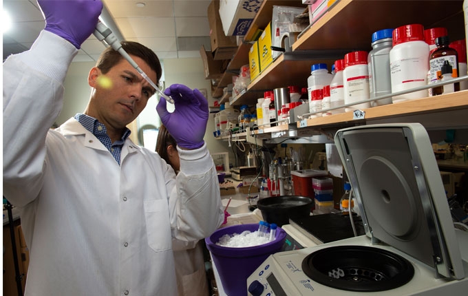 A researcher inspects materials using a dropper while working in a lab.
