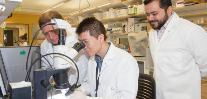 Researchers work together in a lab